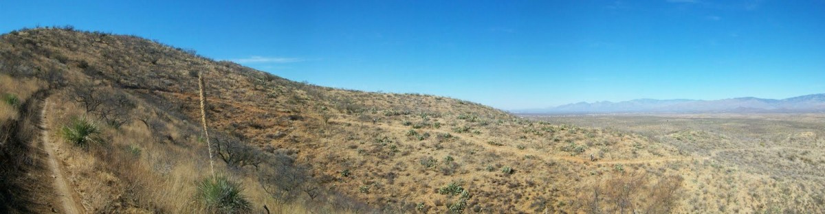AZT singletrack
