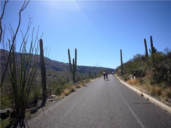 My favorite ride of the week was Saguaro National Park