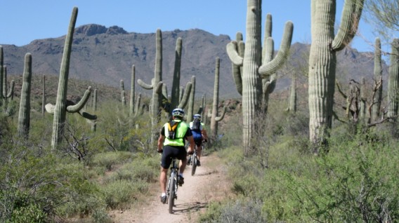 Guide Cycling Rides in Tucson, AZ Missoula, MT Colorado - Boulder Guided Rides in Arizona