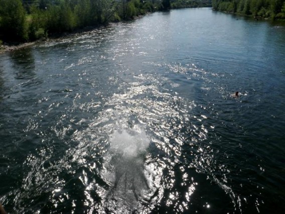 Brendan Bridge Jump. Missoula